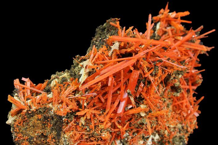Bright Orange Crocoite Crystal Cluster - Tasmania #171692